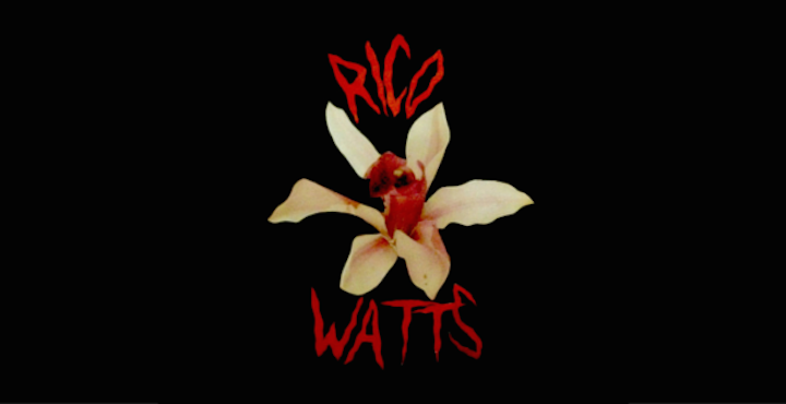 Rico Watts Montreal Hiphop Usmose